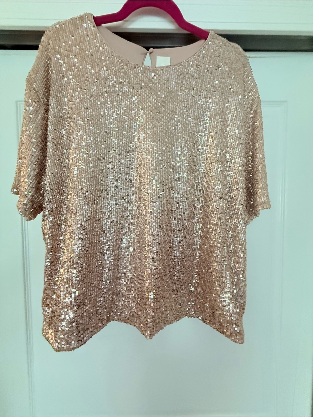 H&M Rose Gold Sequin Short Sleeve Top